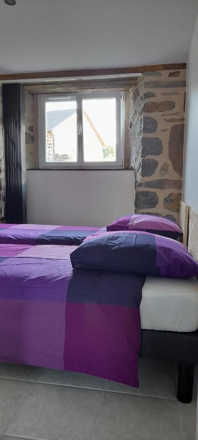 Chez Nave Au Pied Du Meygal Daire Boussoulet Dış mekan fotoğraf