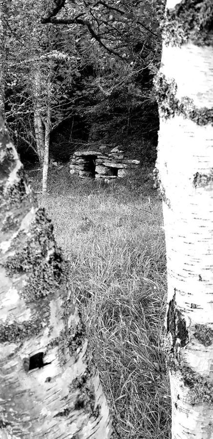 Chez Nave Au Pied Du Meygal Daire Boussoulet Dış mekan fotoğraf