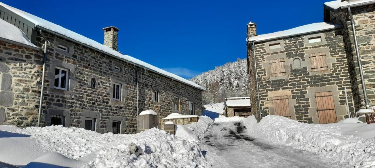 Chez Nave Au Pied Du Meygal Daire Boussoulet Dış mekan fotoğraf